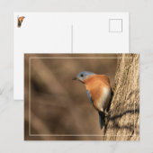 Bluebird, Seitenblicke Postkarte (Vorne/Hinten)