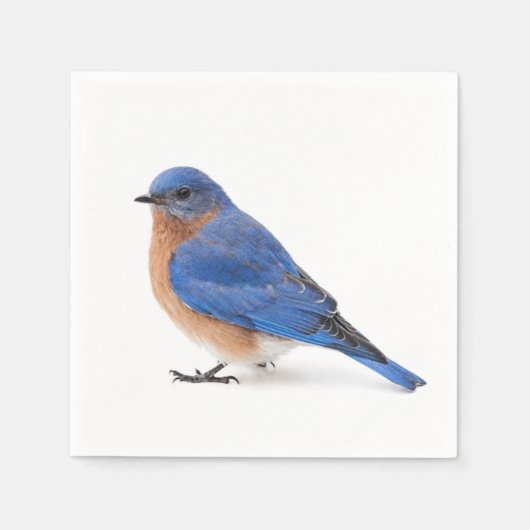 Bluebird Serviette (Vorderseite)