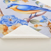 Bluebird Sherpadecke (3/4)