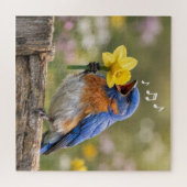 Bluebird Singing Into a Yellow Daffodil Puzzle (Horizontal)