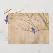 Bluebird Spring Postkarte (Vorne/Hinten)