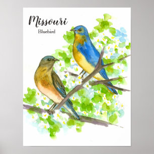 Bluebird Staat Bird of Missouri Poster