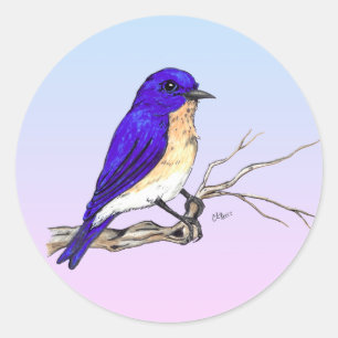 Bluebird-Sticker Runder Aufkleber