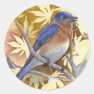 Bluebird-Sticker Runder Aufkleber