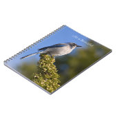 Bluebird Tree Branch (my photography) Notizblock (Linke Seite)