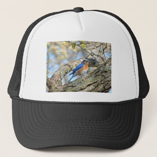 Bluebird Truckerkappe (Vorderseite)
