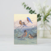 Bluebird und Robin Vintag Postkarte (Stehend Vorderseite)