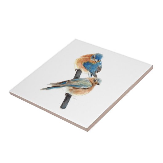 Bluebird Wassercolor Art Deco Fliese (Seite)
