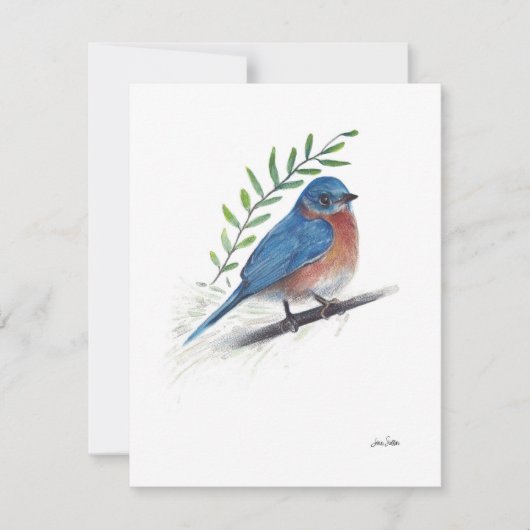 Bluebird Watercolor Art (Vorderseite)
