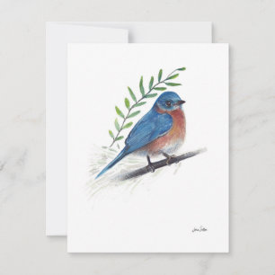 Bluebird Watercolor Art