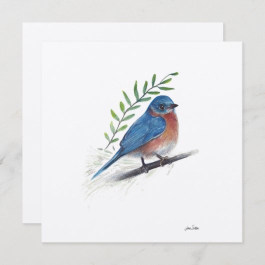 Bluebird Watercolor Art (Vorne/Hinten)