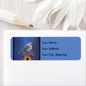 Bluebird (weibliche Malerei) - Original Bird Art (Insitu)