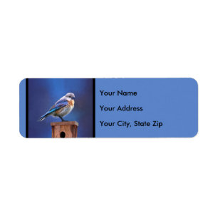Bluebird (weibliche Malerei) - Original Bird Art