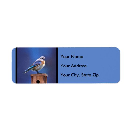 Bluebird (weibliche Malerei) - Original Bird Art (Vorne)