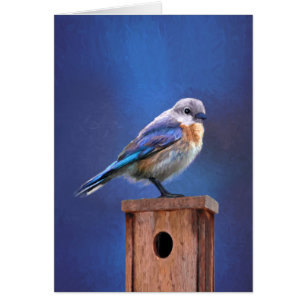 Bluebird (weibliche Malerei) - Original Bird Art