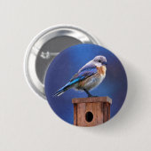 Bluebird (weibliche Malerei) - Original Bird Art Button (Vorne & Hinten)