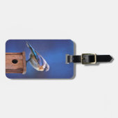 Bluebird (weibliche Malerei) - Original Bird Art Gepäckanhänger (Vorderseite horizontal)