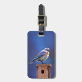 Bluebird (weibliche Malerei) - Original Bird Art Gepäckanhänger (Vorderseite vertikal)