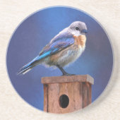 Bluebird (weibliche Malerei) - Original Bird Art Getränkeuntersetzer (Vorne)