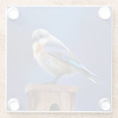 Bluebird (weibliche Malerei) - Original Bird Art Glasuntersetzer (Rückseite)