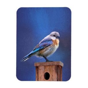 Bluebird (weibliche Malerei) - Original Bird Art Magnet
