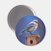 Bluebird (weibliche Malerei) - Original Bird Art Magnet (Vorderseite/Rückseite)