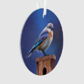 Bluebird (weibliche Malerei) - Original Bird Art Ornament (Vorderseite)