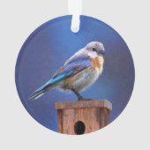 Bluebird (weibliche Malerei) - Original Bird Art Ornament (Rückseite)
