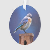 Bluebird (weibliche Malerei) - Original Bird Art Ornament (Vorderseite)