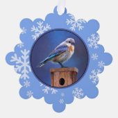 Bluebird (weibliche Malerei) - Original Bird Art Ornament Karte (Vorderseite)