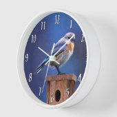 Bluebird (weibliche Malerei) - Original Bird Art Uhr (Winkel)