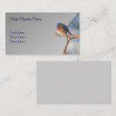 Bluebird Wildlife Nature Visitenkarte (Vorne/Hinten)