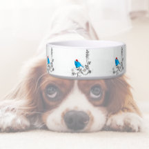 Bluebird zu Weihnachten