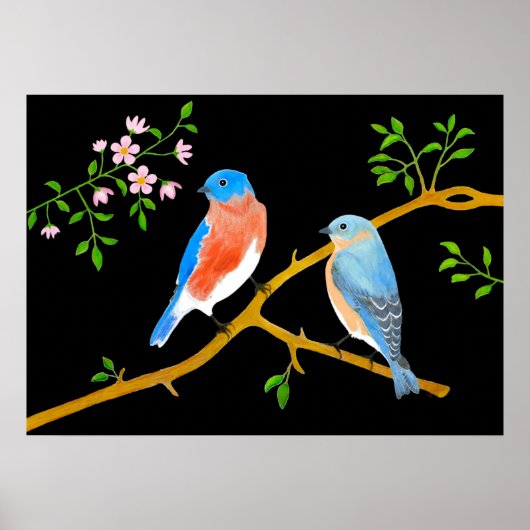 Bluebirds Black Poster (Vorne)