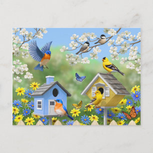 Bluebirds Goldfinches Birdhouses Blumengarten Postkarte
