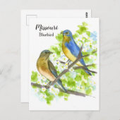 Bluebirds Hawthorn Tree Missouri Staat Bird Postkarte (Vorne/Hinten)
