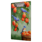 Bluebirds in einem Pfirsichbaum Klemmbrett (Links)