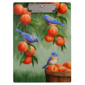 Bluebirds in einem Pfirsichbaum Klemmbrett (Vorderseite)