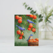 Bluebirds in einem Pfirsichbaum Postkarte (Stehend Vorderseite)