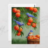 Bluebirds in einem Pfirsichbaum Postkarte (Vorne/Hinten)