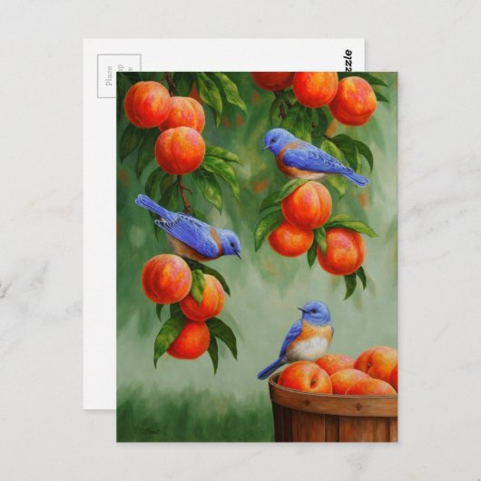 Bluebirds in einem Pfirsichbaum Postkarte (Vorne/Hinten)