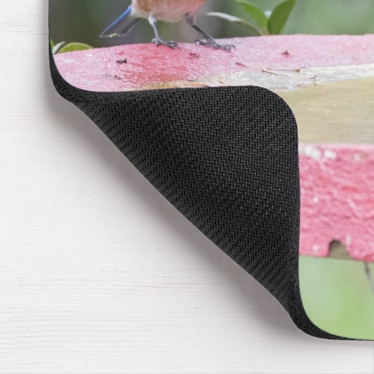 Bluebirds in Vogelbädern Mousepad (Ecke)