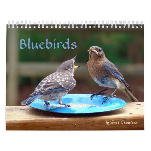 Bluebirds-Kalender Kalender (Titelbild)