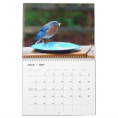 Bluebirds-Kalender Kalender (Mär 2027)