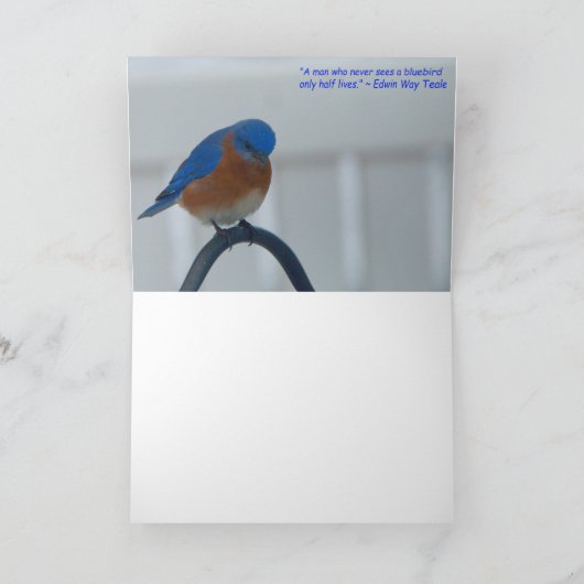 Bluebirds Karte (Innenseite)