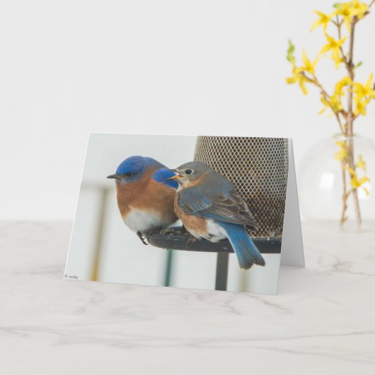Bluebirds Karte (Gelbe Blume)
