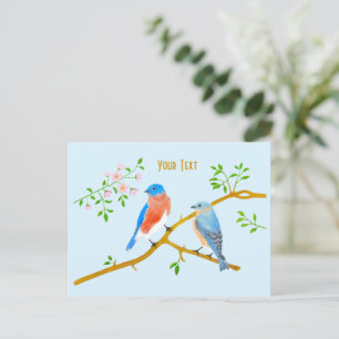 Bluebirds Light Blue Postkarte