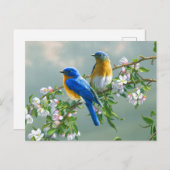 Bluebirds Postcard Postkarte (Vorne/Hinten)