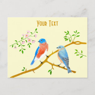 Bluebirds Postcard Postkarte