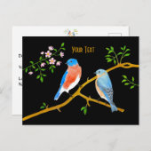 Bluebirds Postkarte (Vorne/Hinten)